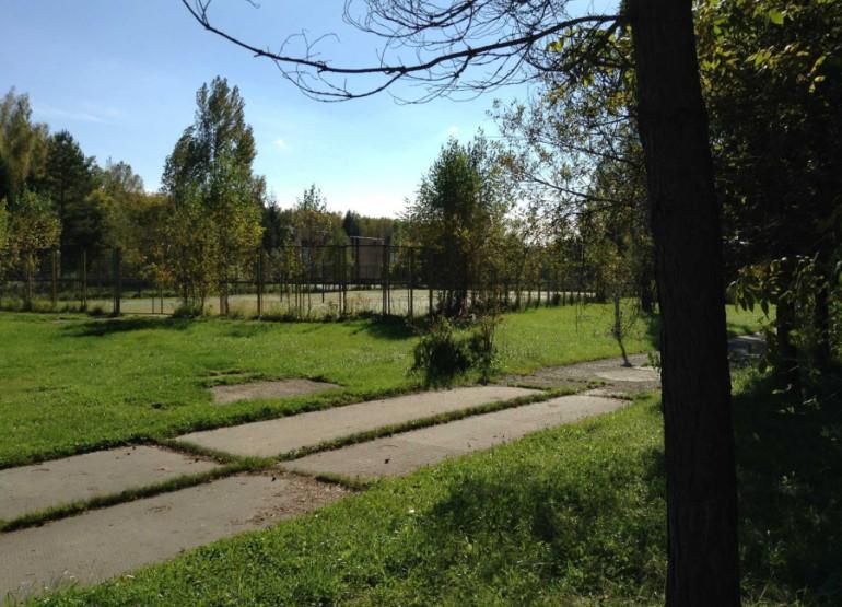ДОЛ Соколёнок: Вид территории